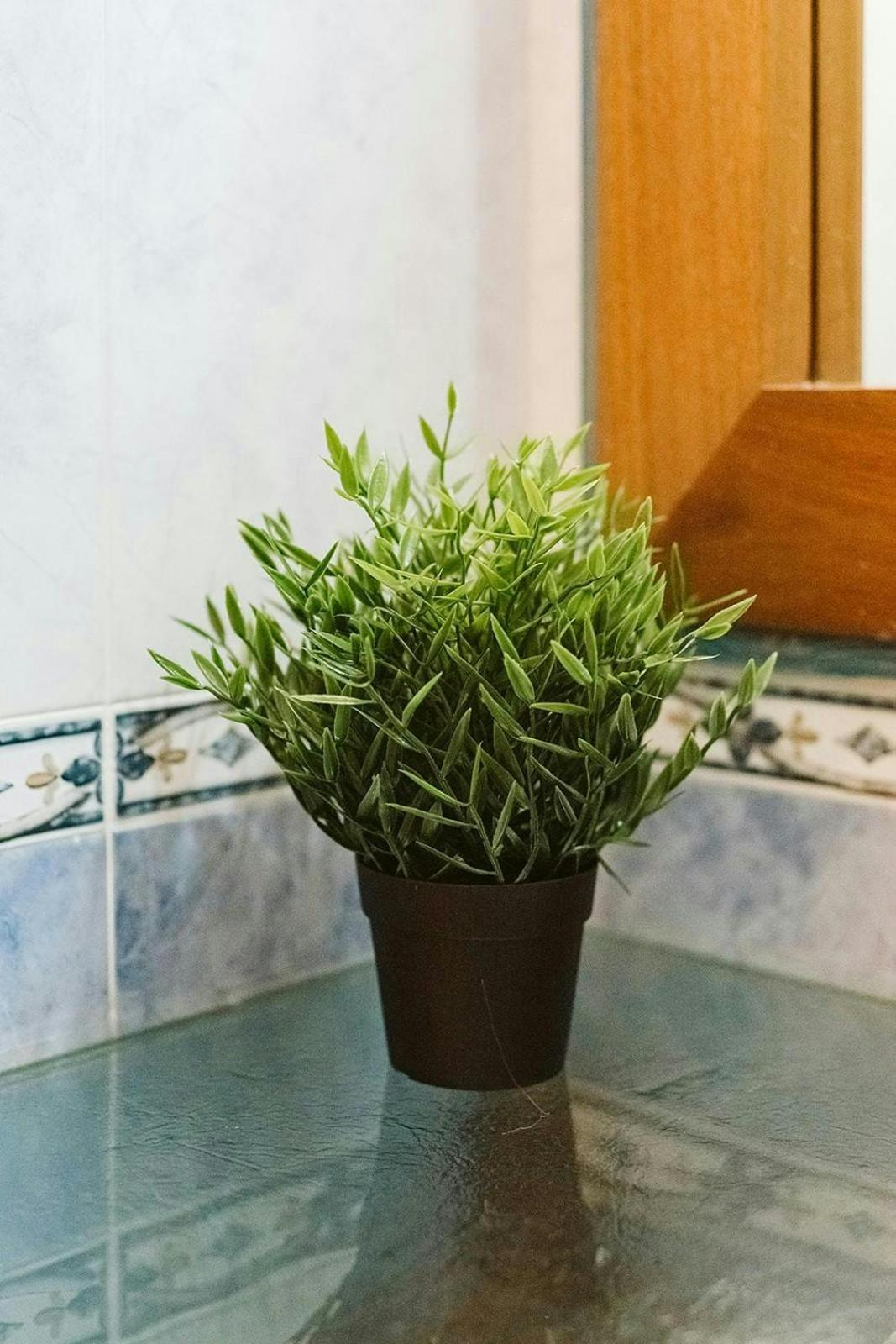شقة Casa Begona - Wifi Sencillo Y Acogedor Sallent de Gállego المظهر الخارجي الصورة