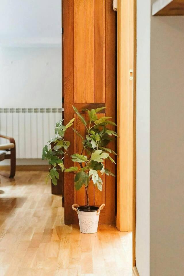 شقة Casa Begona - Wifi Sencillo Y Acogedor Sallent de Gállego المظهر الخارجي الصورة